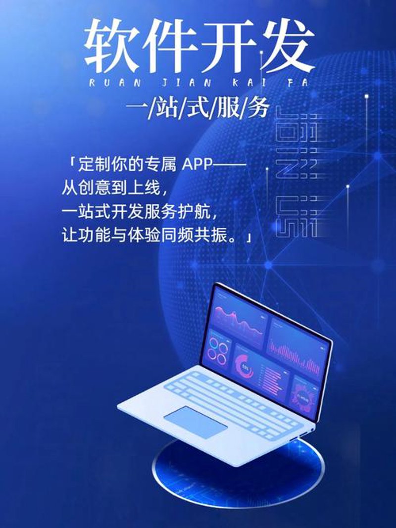 软件开发